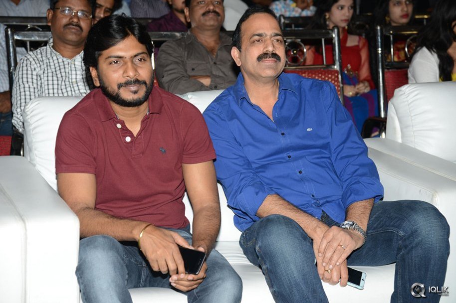 Bengal-Tiger-Movie-Triple-Platinum-Disc-Function